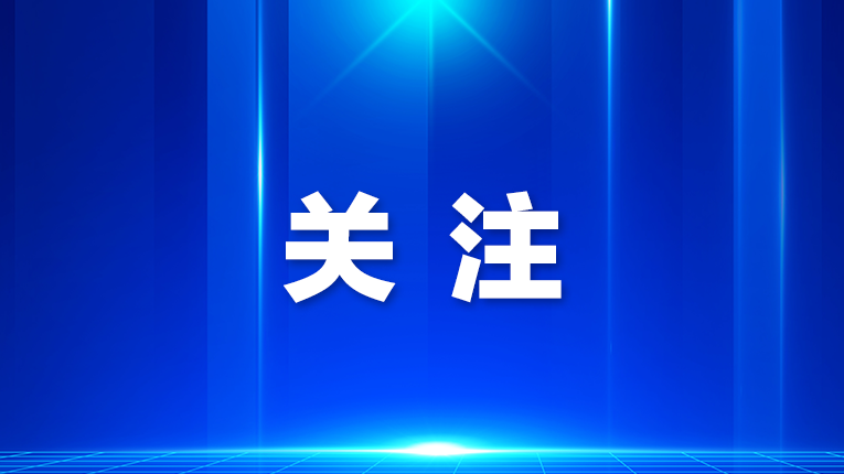 粤港澳教育合作成色十足