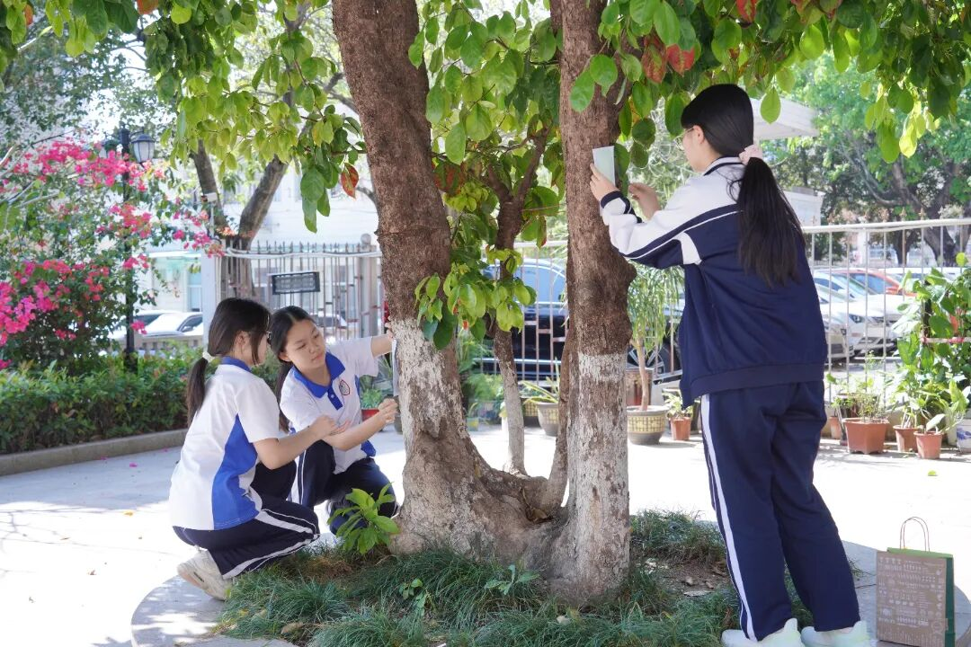 APEC林业部长级会议在深圳举办，有关噪鹃的这堂生命教育课打动全场