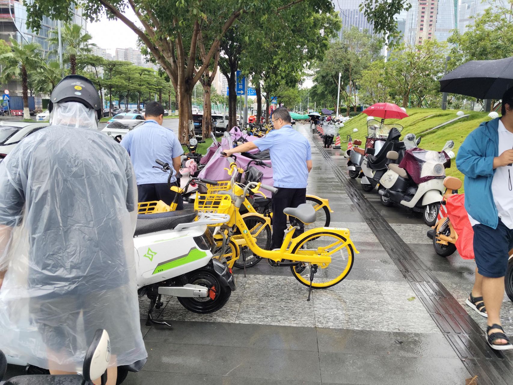 闻“汛”而动！新安街道全力开展暴雨隐患安全巡查整治行动