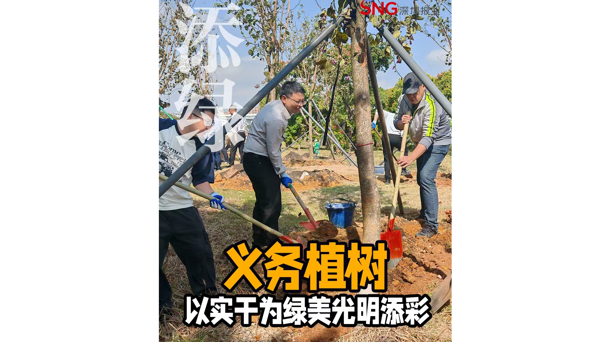 湾视频 | 义务植树 以实干为绿美光明添彩