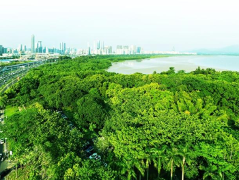 深圳：把“山海”绣进城市肌理