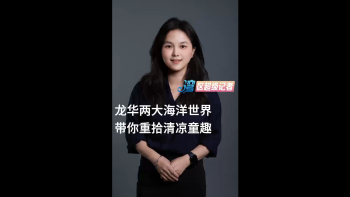 龙华两大海洋世界，带你重拾清凉童趣