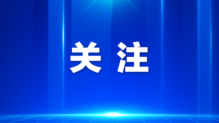 龙华区玩转AI+短视频 打造创业者专属萌宠IP