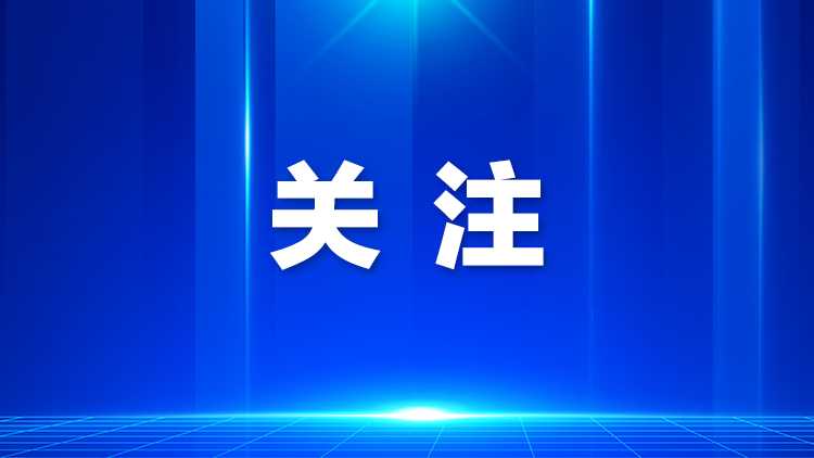 全力冲刺佳绩！303名宝安健儿省运会出征在即