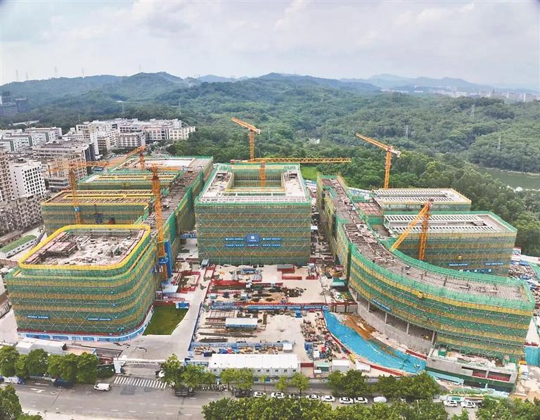 电子科大深圳高研院建设工程项目一期Ⅰ标段主体结构全面封顶