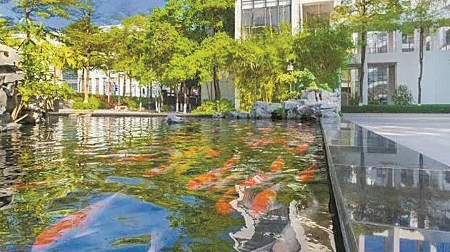 宝安中学的一封公开信，把“鸟鸣”上成生命教育课