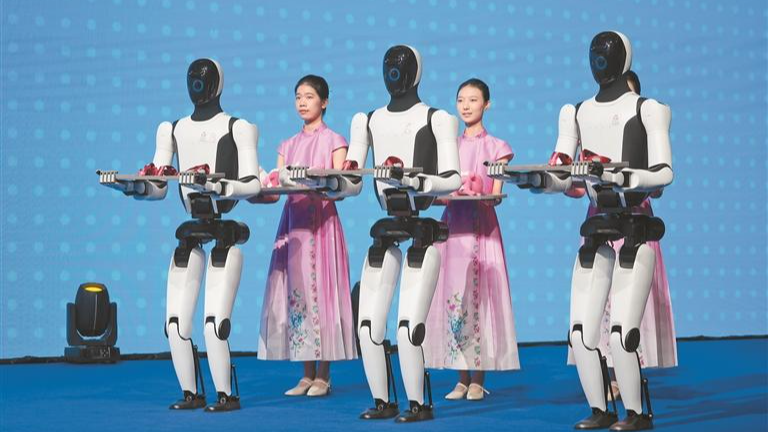 宝安赛场 激情与回响