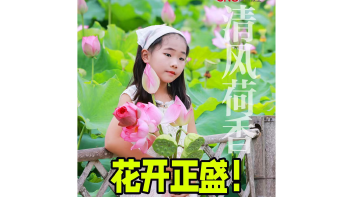 湾视频｜花开正盛！观澜版画村藏绝美荷塘，一秒坠入江南盛夏