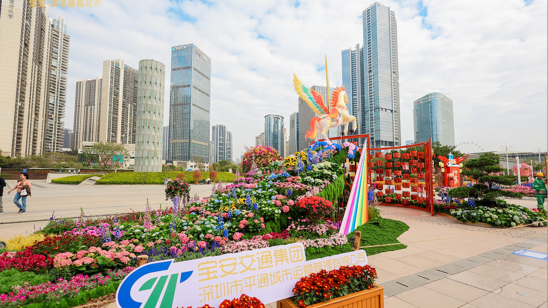 在宝安过年 文体活动玩不够！