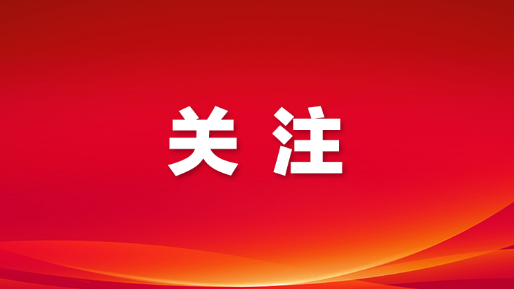 市七届人大七次会议宝安代表团分组审议市政府工作报告