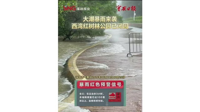 湾视频丨大潮暴雨来袭 西湾红树林已闭园