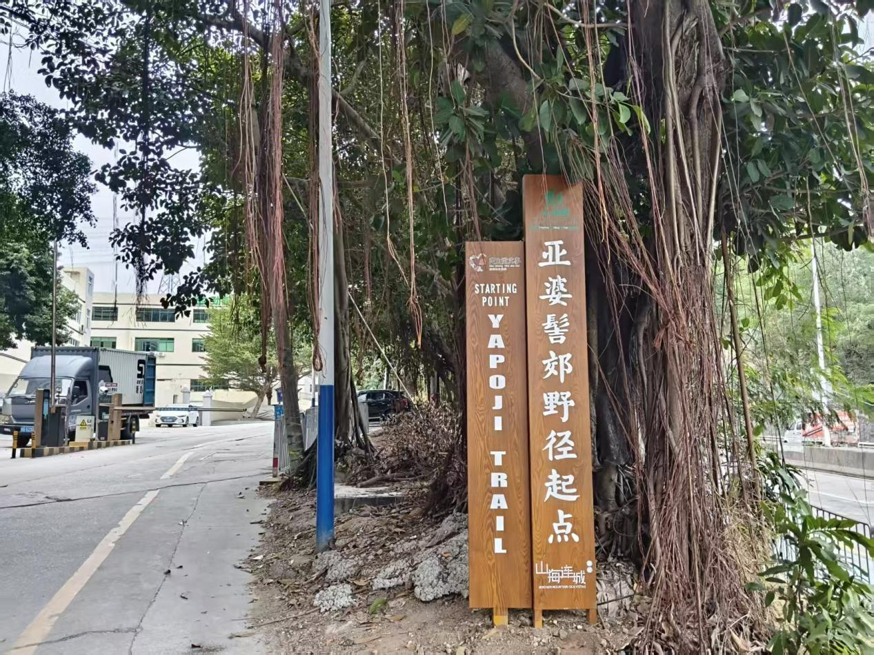 安全升级！宝源社区郊野径改造完成，居民齐点赞