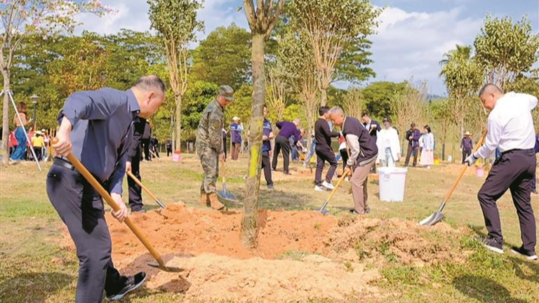 宝安以实际行动践行绿美广东生态建设