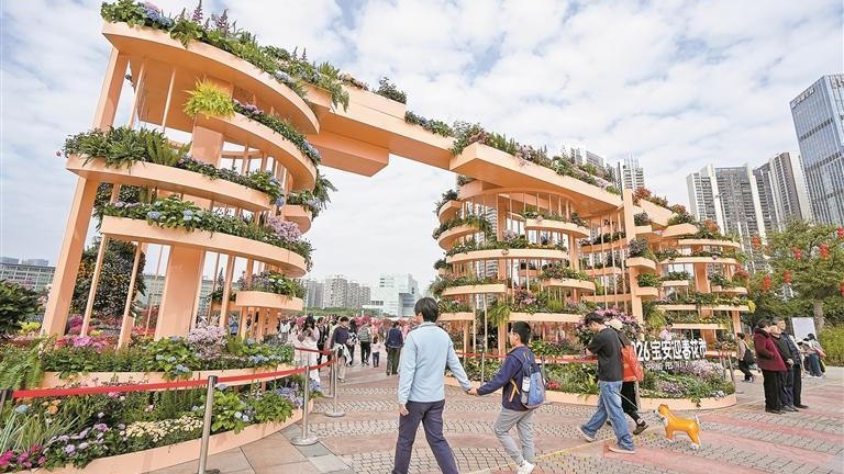 行花街，赏繁花，迎福气！宝安区新春花展与迎春花市同步启幕