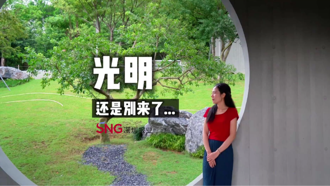 湾视频｜光明，还是别来了……