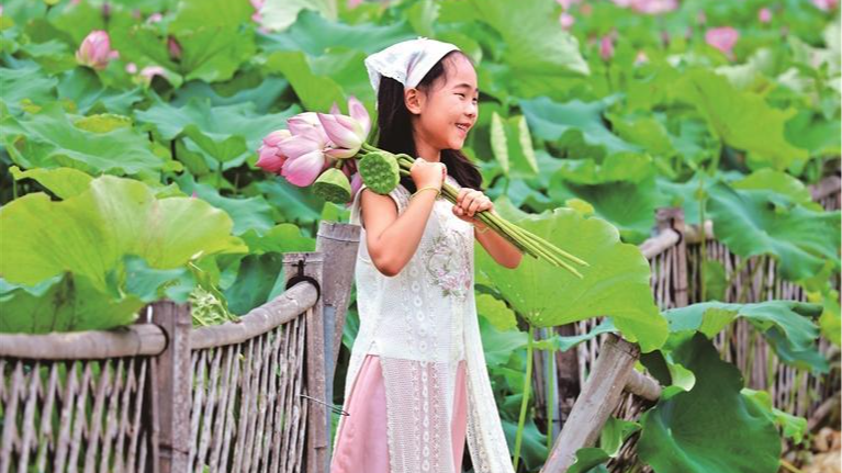 观澜版画村限定：赏荷季 正当时