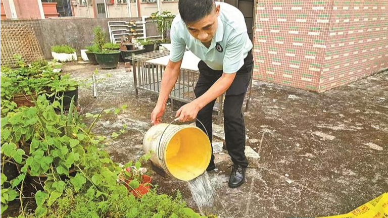 光明区：清除蚊虫孳生地 营造卫生健康城