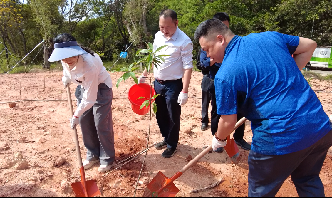 增绿添美！航城街道开展义务植树活动