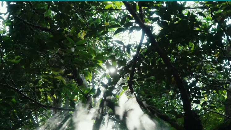 当生命需要答案，你会徘徊于陌生远方，还是奔赴家门口的生命方舟？