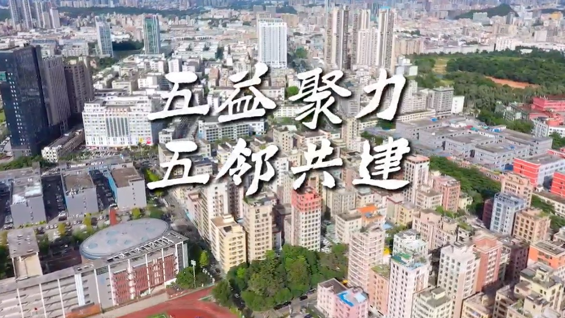 解码红色浪潮之五益五邻·和美上横朗