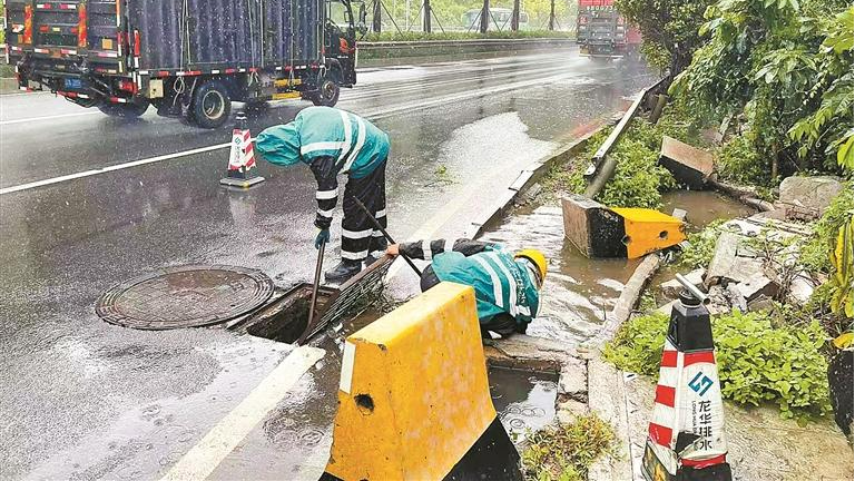 “塔巴”来袭龙华同心御风雨 全域守护万家灯火映担当