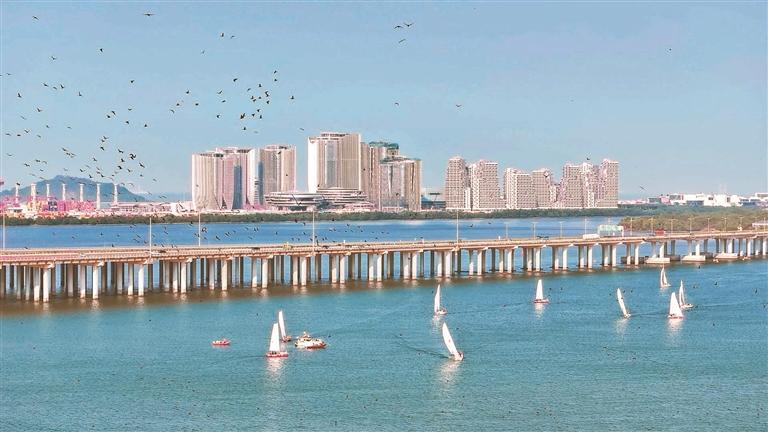 一线海景工位留给员工！腾讯总部园区初露真容，本报记者实地探访