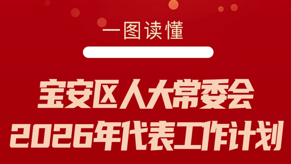 宝安区人大常委会2026年代表工作计划