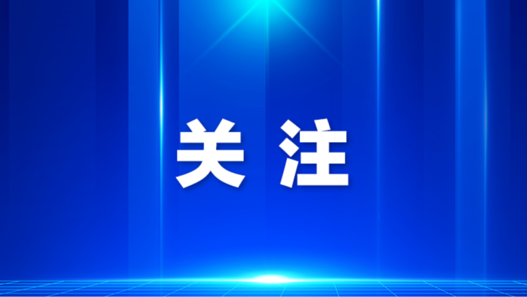 端午假期乘客遗落证件，暖心公交人接力寻回
