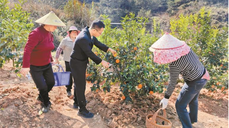 深圳驻紫金苏区工作队开展2026年消费帮扶新春行动