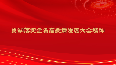 贯彻落实全省高质量发展大会精神