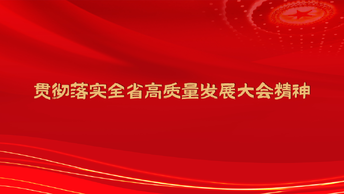 贯彻落实全省高质量发展大会精神