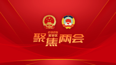 聚焦2026宝安区两会