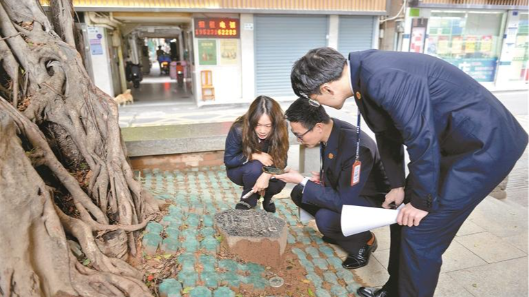 五年砺剑守正义，深耕善治护民安