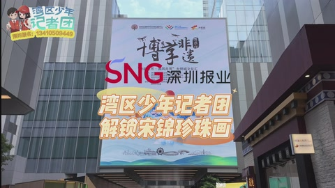 湾区少年记者团解锁宋锦珍珠画！