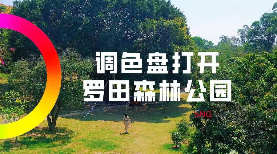 湾视频 | 调色盘打开罗田森林公园