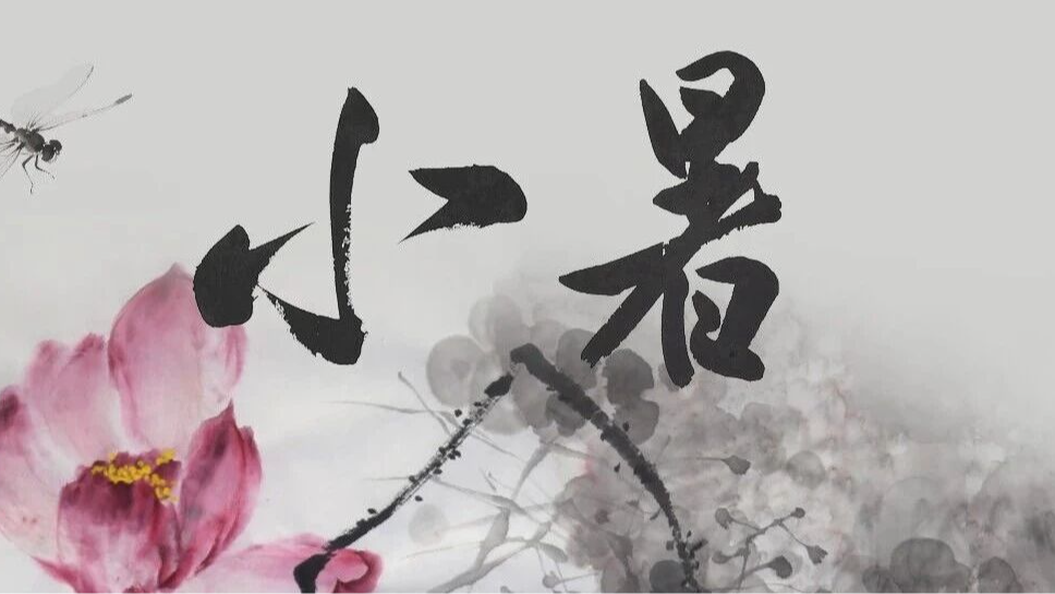 【廉韵节气·清风润心】今日小暑