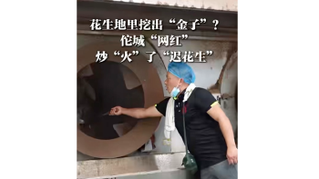 湾视频｜花生地里挖出“金子”？伦城“网红” 炒“火”了“迟花生”（宝151）