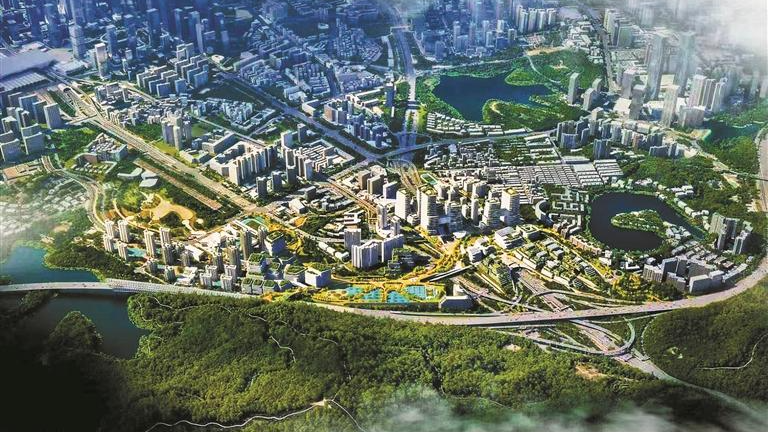 龙华：七大片区差异化规划 打造高质量发展矩阵