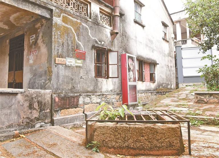 眷恋故土 青龙摆尾