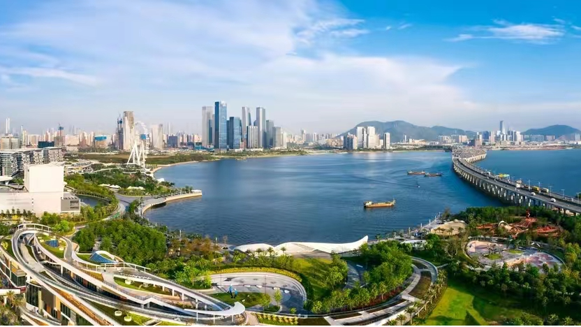 宝安：坚持党建引领聚合力 持续塑造发展新优势