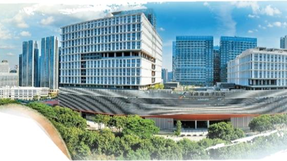 龙华“十四五”民生跃迁：以近八成财政投入，实现民生关键指标“6个倍增”
