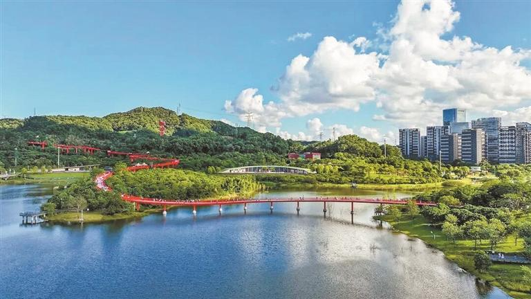 光明这条“红丝带”火到海外