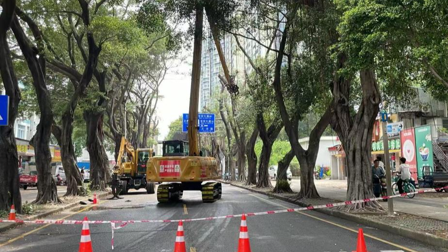 风雨未至，备战先行！福海稔田社区全力筑牢防台“安全堤”